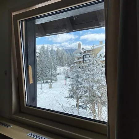 Gala Kop Apartman Копаоник Экстерьер фото